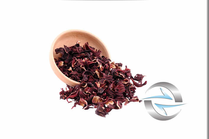 Hibiskus Bamya Çiçeği