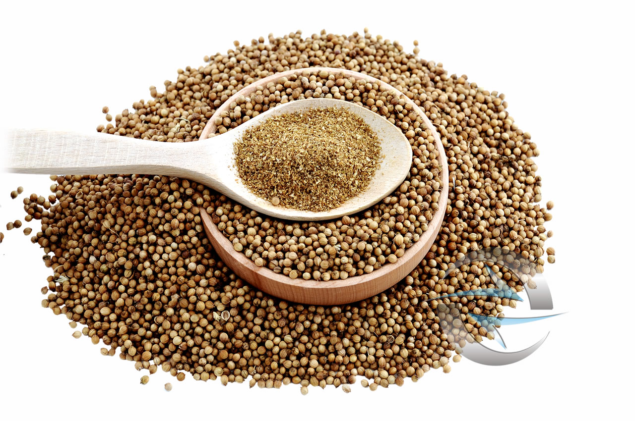 Kişniş ( Tane & Çekilmiş )